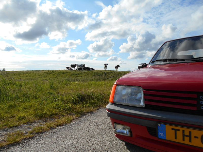 Illustration for article titled While photographing a car... (updated pictures)